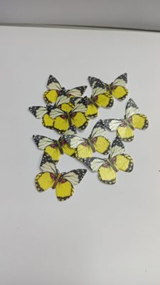 פרפרים צהוב לבן אכיל 10 יח קטון