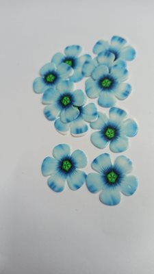 פרחים תכלת כחול קטנים אכילים 10 יח