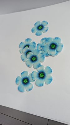 פרחים אכיל תכלת כחול גדול 10 יח
