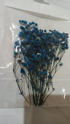 פרחים יבשים לקישוט צבע כחול