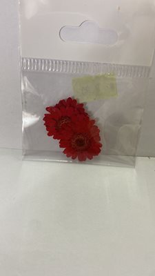 פרחי קמומיל לקישוט אדום 4 יח