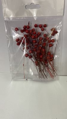 כדוריות פרי מיובש לקישוט אדום